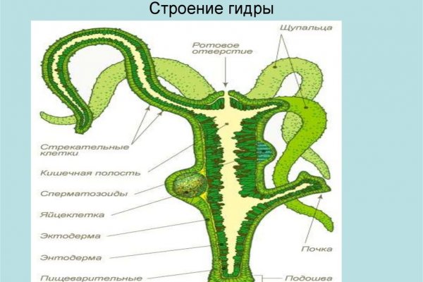 Как зайти на маркетплейс кракен