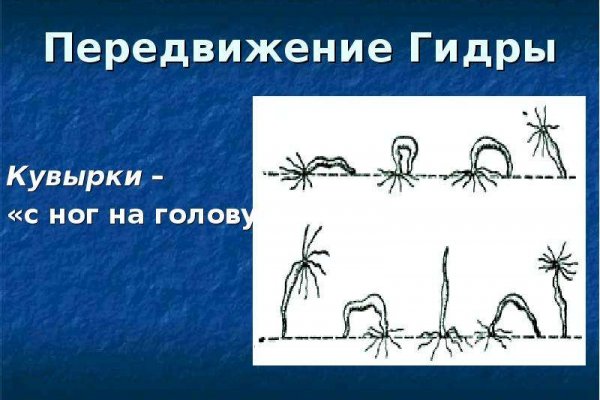 Kraken зеркало официальный